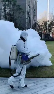 廣西綠盾蟲害防治服務(wù)有限公司